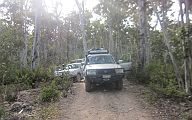09-Stopped on the Cobberas Trail to clear a tree